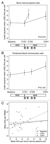 Figure 3. Therapy-associated autophagy modulation in myeloma and peripheral blood mononuclear cells from patients treated with hydroxychloroquine (HCQ) and bortezomib. Shown are mean autophagic vacuole counts in (A) bone marrow plasma cells and (B) PBMCs sampled during therapy. The bone marrow results were taken at baseline, on d 1 of cycle 1 (C1D1, after a 2-wk HCQ run-in), and either on d 5 of cycle 1 (C1D5, ~24 h after the d 4 bortezomib dose) or on d 1 of cycle 2 (C2D1, ~10 d after the d 11 bortezomib dose). Peripheral blood samples were obtained at baseline, on C1D1, on d 8 of cycle 1 (C1D8), and on C2D1. P values are shown for comparisons across all time points, and asterisks indicate time points that are significantly (P < 0.05) different from baseline. The treatment schema below each panel shows the timing of administration of daily oral hydroxychloroquine (HCQ) and intravenous bortezomib (B). (C) Correlation between autophagic vacuole counts in peripheral blood mononuclear cells and bone marrow plasma cells for all time points at which patients had both samples obtained at the same time. Correlation coefficients were not statistically significant at baseline (0.34, P = 0.21), C1D1 (0.10, P = 0.77), or C2D1 (0.65, P = 0.18).