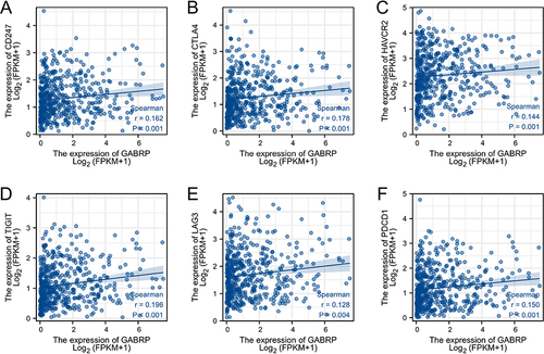 Figure 7 Correlation analysis of GABRP expression with immune checkpoint genes expression in LUSC. Scatter plots presented the correlation between GABRP expression and CD247 (A), CTLA4 (B), HAVCR2 (C), TIGIT (D), LAG3 (E), and PDCD1 (F) expression.