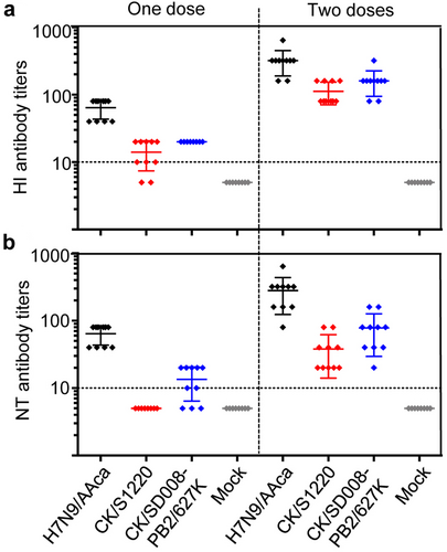 Fig. 1 Antibody titers induced in mice by H7N9/AAca against different viruses.Groups of ten mice were inoculated with one or two doses, with a 3-week interval, of 106 EID50 of the H7N9/AAca virus vaccine. Three weeks after the last dose, sera were collected to determine HI (a) and NT (b) antibody titers by using the homologous H7N9/AAca virus and the heterologous CK/S1220 and CK/SD008-PB2/627 K viruses, respectively. The dotted lines indicate the lower limit of detection