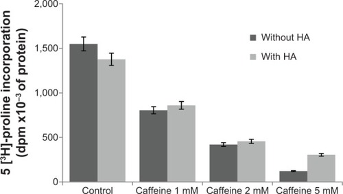 Figure 1 Collagen biosynthesis measured as 5[3H]-proline incorporation into proteins susceptible to the action of bacterial collagenase in confluent human skin fibroblasts incubated for 24 hours with different concentrations of caffeine and hyaluronic acid (HA).