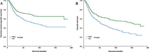 Figure 3 Comparison of cause-specific survival (A) and overall survival (B) between cervical squamous cell carcinoma (SCC) and adenocarcinoma (AC) after propensity score matching.