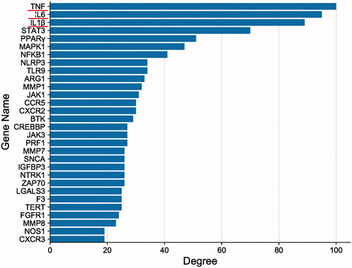 Figure 4. Ranking of core targets based on topology analysis of the protein–protein interaction network.