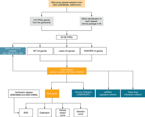 Figure 1. The analysis process.GO: Gene ontology; KEGG: Kyoto Encyclopedia of Genes and Genomes; GSEA: Gene Set Enrichment Analysis; PPI: Protein–protein Interaction.