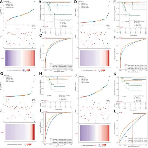 Figure 4 Prognostic analysis of gene signature in the TCGA set. The dotted line represented the risk score and divided the patients into Exp 0–25% group, 25–50% group, 50–75% group, and 75–100% group. (A, D, G and J) The curve of risk score. Survival status of the patients. More dead patients corresponding to the higher risk score. Heatmap of the expression profiles of the E2F1/2/7/8 in Exp 0–25% group, 25–50% group, 50–75% group, and 75–100% group. (B, E, H and K) Kaplan-Meier survival analysis of E2F1/2/7/8. (C, F, I and L) Time-dependent ROC analysis of E2F1/2/7/8. ROC: receiver operating characteristic.