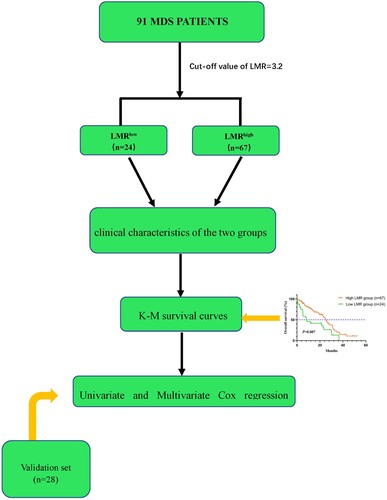 Fig 1. The flow chart of the study.