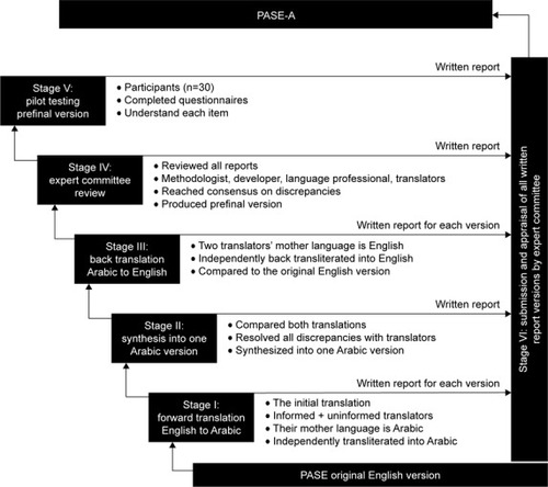 Figure 1 Flowchart of the translation and cross-cultural adaptation process of PASE-A from the original English version.