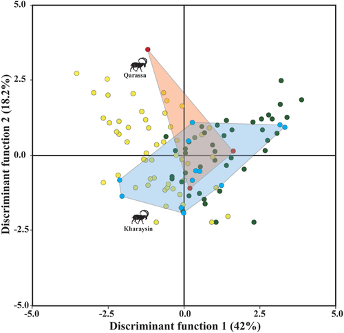 Figure 9. Quadratic discriminant analysis based on modern domestic (yellow) and wild goats (green), and archaeological specimens from Kharaysin (blue) and Qarassa (red) (CH1= goats managed in the Algerian steppe; CH2= in wooded and overgrazed areas in the northeastern Iberian Peninsula; CH3= in grasslands in the Pyrenees; CH4= in wooded areas in the Larzac; CI= Capra ibex; CN= Capra nubiana; CP= Capra pyrenaica).