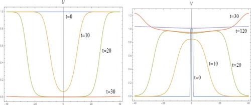 Figure 3. System (II) with m=2 and D=4.