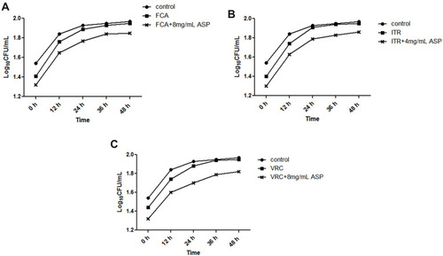 Figure 2 Time-kill curves of Candida albicans ZY23 treated with (A) fluconazole (FCA) (B) itraconazole (ITR), and (C) voriconazole (VRC) alone or combination.