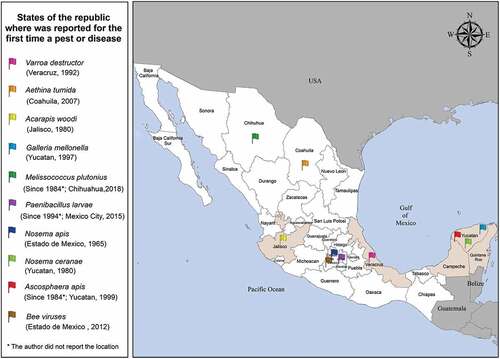 Figure 1. Mexico country consists of 32 states and shares land borders with USA to its north and with Guatemala and Belize to its south (Central America). The regions in Mexico with more production of honey are the Yucatan peninsula (Campeche, Yucatan and Quintana Roo), as well as the states of Jalisco and Veracruz (highlighted in beige).