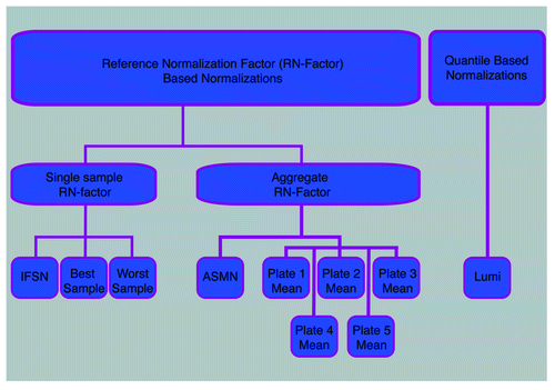 Figure 1. Flowchart of normalizations implemented. Ten color channel normalization procedures were implemented. Nine of those procedures were reference normalization factor (RN-factor) based methods that use the n = 93 normalization control probes assayed in every sample on the 450K chip for adjustment. Of the RN-factor based methods, three methods used the RN-factors from a single sample: the Illumina first sample normalization (IFSN), the best performing sample normalization, and the worst performing sample normalization. The remaining six RN-factor based procedures use aggregated RN-factors across different groups of samples, including the mean RN-factors for each plate of the experiment (Plates1–5 Means) and the all sample mean normalization (ASMN) that uses the mean RN-factors for all experimental samples. The remaining normalization, the lumi procedure, uses a quantile-based methodology instead of RN-factors.