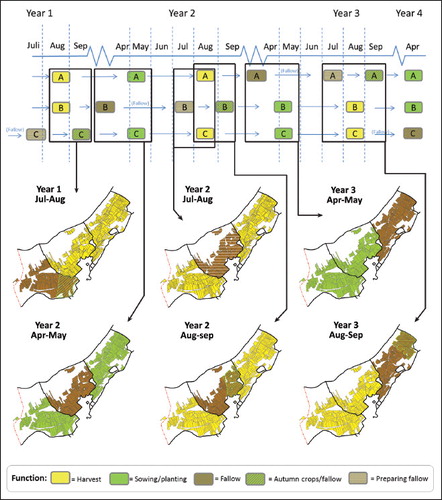 Fig. 7. The diagram illustrates the rotation of fallow, sown, and arable, as well as how the function of the fields changes over a three-year cycle. The maps show the spatial situation at different phases of farming.