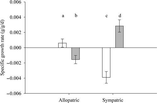 Figure 2. Specific growth rates of juvenile WAE (white bars) and SMB (gray bars) in allopatry and sympatry fed during daytime for 15 days. Error bars represent one standard deviation. Means with the same letter are not significantly different at α = 0.05.