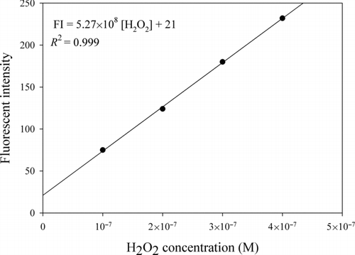 FIG. 2 Calibration curve of fluorescent intensity obtained from the reaction between DCFH and H2O2.