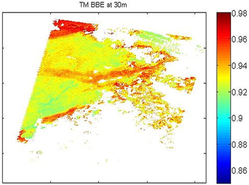 Figure 8. The 30 m BBE retrieved from TM surface reflectance.