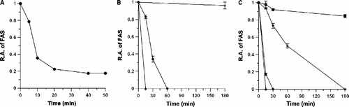 Figure 1.  The inhibition of FAS by (+)-catechin heated in sulfuric acid. (A): Time course of remaining FAS activity by inhibition of (+)-catechin treated with 1M sulfuric acid at 100°C. The concentration of (+)-catechin was 2.5 mg/mL. A 1.2-μl aliquot was taken to measure the remaining activity of FAS in a 2 mL assay mixture at the indicated times. (B): Time course of remaining FAS activity by inhibition of (+)-catechin treated with 1 M sulfuric acid at different temperatures. The concentration of (+)-catechin was 2.5 mg/mL. A 2-μl aliquot was taken to measure the remaining FAS activity in a 2 mL assay mixture at the indicated times. ▴: 100°C; ♦: 60°C; ★: 25°C. (C): Time course of remaining FAS activity by inhibition of (+)-catechin treated with different concentrations of sulfuric acid at 100°C. The concentration of (+)-catechin was 2.5 mg/mL. A 2-μl aliquot was taken to measure the remaining FAS activity in a 2 mL assay mixture at the indicated times. ▴: 1 M sulfuric acid; ♦: 0.5 M sulfuric acid; ★: 0.1 M sulfuric acid; •: water. The data was the mean of three experiments.