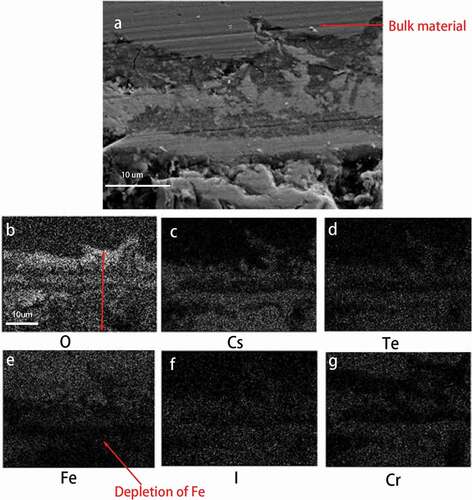 Figure 3. Element mapping of specimen under high oxygen potential.