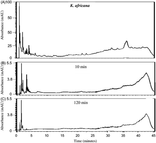 Figure 5. HPLC chromatograms of K. africana organic extract (32 mg/mL PBS) at 260 nm prior to (A) and after the in vitro permeability experiment at different time intervals (B: 10 min and C: 120 min) after exposure to excised porcine skin.