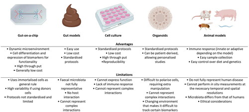 Figure 1. Advantages and limitations of the different models for the study of host-microbiota-food interactions. Created with BioRender.com.