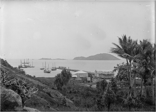 Figure 13. Photograph from 1898 of a so-called ‘shell house’ at Mabuiag (Jervis Island) belonging to the Mabuyag Pearling and Trading Company, from the Mounted Haddon Collection, Torres Strait Islands Expedition, courtesy of Cambridge Museum of Archaeology and Anthropology, P.779.ACH1