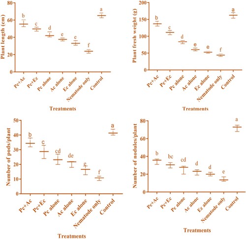 Figure 1. Nematicidal effect of P. chlamydosporia alone or in combination with chopped leaves of A. conyzoides and E. crassipes on the growth attributes of chickpea infested with M. incognita (Pc + Ac = P. chlamydosporia + A. conyzoides; Pc + Ec = P. chlamydosporia + E. crassipes; Pc alone = P. chlamydosporia alone; Ac alone = A. conyzoides alone; Ec alone = E. crassipes alone).