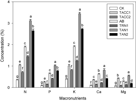 Figure 14. Comparative effectiveness of ACC-deaminase and/or nitrogen-fixing rhizobacteria on macronutrient contents (N, P, K, Ca, and Mg) in root of tomato. Different letters (a–g) on bars indicate significant differences of mean values for seedling fresh weight. Bars represent standard errors.CK, control; AB, Azotobacter