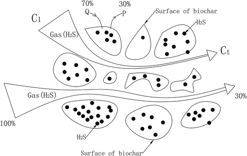 Figure 3. Schematics of gas flow through the biochar bed.