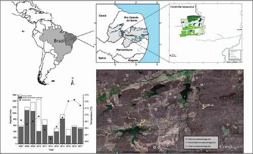 Figure 1. Map of Brazil locating Paraiba state and the study area map (Fazenda Tamanduá). In details a google map of Fazenda Tamandua with the successional stages sites points. Historical series of annual rainfall (mm), accumulated precipitation from January to April (mm) and annual average air temperature (°C) over the last 10 years in the tropical dry forest (Santa Terezinha, Paraíba, Brazil)