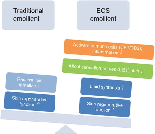 Figure 5 Comparing the traditional emollient and PEA/AEA emollient.