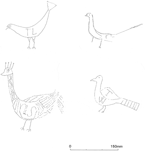 Figure 5. Examples of birds from nave and south aisle roofs, scale as shown.