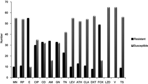 Figure 1 Antibiotic resistance rate among all 65 S.epidermidis isolated.Abbreviations: AM, amikacin; GN, gentamicin; FOX, cefoxitin; CIP, ciprofloxacin; E, erythromycin; T, tetracycline; TS, sulfamethoxazole-trimethoprim; ATH, azithromycin; CLA, clarithromycin; LZD, linezolid; RP, rifampin; DXT, doxycycline; MN, minocycline; TN, tobramycin; CD, clindamycin; Lecv, levofloxacin; V, vancomycin.