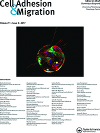 Cover image for Cell Adhesion & Migration, Volume 11, Issue 3, 2017