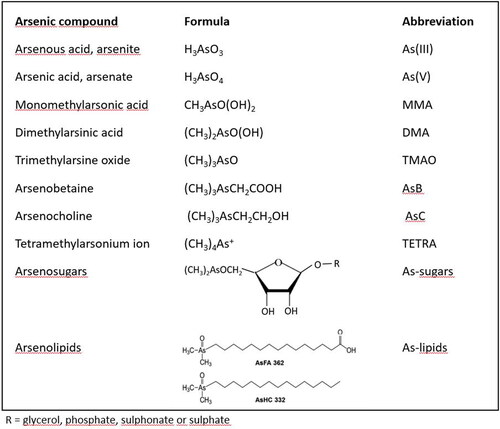 Figure 1. Most common arsenic species in living organisms (Taleshi et al. Citation2014; Luvonga et al. Citation2020).