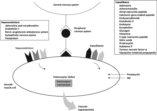 Figure 1.  Vasodilatators and vasoconstrictors in the pathogenesis of a hyperdynamic systemic circulation in patients with cirrhosis.