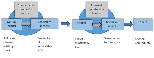 Figure 1. Natural capital as an input into economic production (adapted from Binner et al. Citation2017)