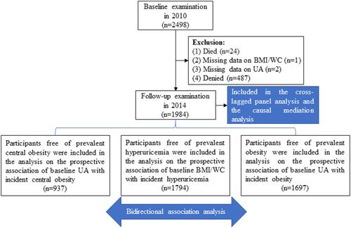 Figure 1 A flowchart illustrating the selection of study participants and the statistical plan.