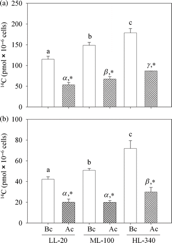 Fig. 1. Effect of light intensity on the radioactivity incorporated (pmol 14C × 10−6 cells) into whole cells (a) and total lipids (b) after incubating for 10 h with [14C] bicarbonate (Bc, unshaded columns) and [1-14C] acetate (Ac, hatched columns). For explanation of statistical assessments of significance, see footnote to Table 1.
