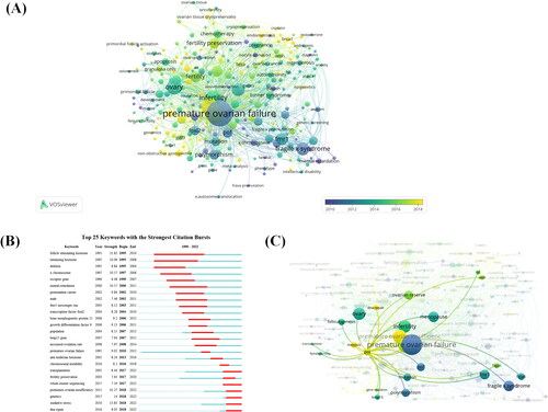 Figure 7. Co-occurrence analysis of the authors keywords. (A) The analysis method is modularity in linlog/VOSviewer, with a weight of one event and a score of the average year of publication. The thickness of the lines indicates the strength of the relationship. The color indicates the average year of publication. (B) Top 25 keywords with the strongest CiteSpace citation burst. ɣ:1.0; minimum duration:2. (C) Relationships between genes and other authors’ keywords were performed by network visualization. Figure 8. Analysis of co-references. (A) Top 20 documents with the strongest CiteSpace citation burst. ɣ:1.0; minimum duration:2. Light color indicates the time range from 1990-2022 statistics, dark cyan indicates the time range from publication to the strongest citation burst, and red indicates the duration of the strongest citation burst. (B)The analysis method is modularity in linlog/VOSviewer with weights of citation counts. The thickness of the lines indicates the strength of the relationship. The purple part of the circle indicates the Central position of the document.