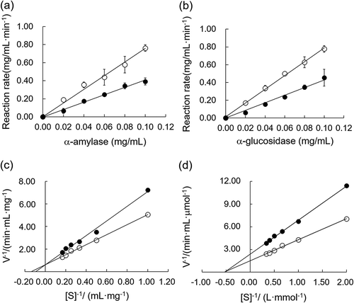 Figure 3. The inhibitory kinetics of BFP on α-amylase and α-glucosidase.(a) Linear regression of reaction rates versus different concentrations of α-amylase in the presence (closed circles) and absence (open circles) of BFP. The final concentration of starch was 5.0 mg/mL, and the reaction time was 3 min. (b) Linear regression curves of reaction rates versus different concentrations of α-glucosidase in the presence (closed circles) and absence (open circles) of BFP. The final concentration of pNPG was 2.5 mM, and the reaction time was 3 min. (c) Lineweaver–Burk plot of the reactions of α-amylase in the presence (closed circles) and absence (open circles) of BFP. (d) Lineweaver–Burk plot of the reactions of α-amylase in the presence (closed circles) and absence (open circles) of BFP. All experiments were performed in triplicate, and values were the means ± SD.
