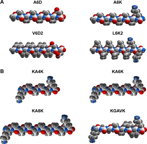 Figure 1 Molecular models of several typical designer amphiphilic peptides.Notes: (A) Surfactant-like peptides composed of hydrophobic amino acids as the tail and one or two hydrophilic amino acids as the head. (B) Bolaamphiphilic peptides composed of two hydrophilic amino acids linked by a section of hydrophobic amino acids. All molecular models were generated using the ICM-Pro software package (MolSoft LLC, San Diego, CA, USA).