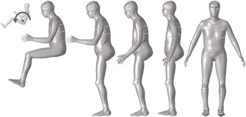 Figure 2. Illustrations of a selection of the positioning steps to obtain an upright SAFER HBM.