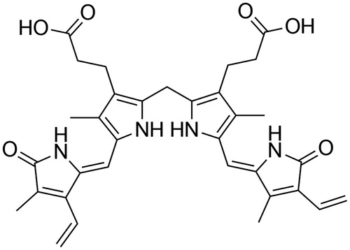 Figure 1. Chemical structure of bilirubin.