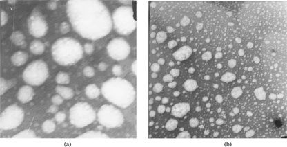 6 Transmission electron photomicrographs of silymarin-loaded lipid microspheres.