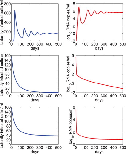 Figure 1. Dynamics of the latent reservoir and viral load predicted by model (Equation2(2) ddtT(t)=λ−dT−(1−ϵRT)kVIT∂∂tL(a,t)+∂∂aL(a,t)=γL(a,t)−α(a)L(a,t)L(0,t)=f(1−ϵRT)kVIT,L(a,0)=L0(a)ddtT∗(t)=(1−f)(1−ϵRT)kVIT−δT∗+∫0∞α(a)L(a,t)daddtVI(t)=(1−ϵPI)NδT∗−cVIddtVNI(t)=ϵPINδT∗−cVNI.(2) ). Upper panel: The latent reservoir and viral RNA level reach an infected steady state in the absence of drug treatment. The generation rate of latently infected cells γ was chosen to be a half of the minimum activation rate of latently infected cells, that is, γ=0.5amin, where amin=0.01 day−1. Middle panel: The latent reservoir and virus were predicted to die out under treatment. The overall drug efficacy was chosen to be 0.99 and γ=0.1amin. Lower panel: The latent reservoir and virus were predicted to persist at a low level under treatment. The overall drug efficacy was chosen to be 0.99 and γ=amin. The other parameter values were chosen to be the same as those listed in Table 1.