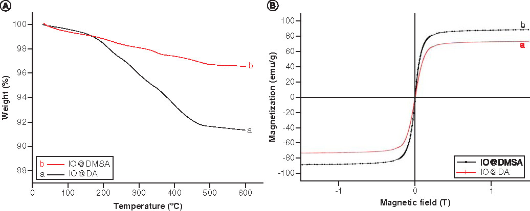 Figure 4. Thermogravimetric analysis curves (A) of iron oxide nanoparticles before (a) and after (b) meso-2,3-dimercaptosuccinic acid coating, and magnetization curves (B) of cubic iron oxide nanoparticles at room temperature before (a) and after (b) meso-2,3-dimercaptosuccinic acid coating.DA: Decanoic acid; DMSA: Meso-2,3-dimercaptosuccinic acid; IO: Iron oxide.