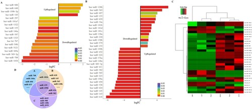 Figure 1. MiRNA expression profiles in childhood acute lymphoblastic leukemia. Clustering analysis of the most significantly differentially expressed miRNAs in childhood acute lymphoblastic leukemia compared with healthy controls (FC ≥ −1.5 or ≤ 1.5, P < 0.05) in GEO datasets GSE56489 (A) and GSE23024 (B). (C) Hierarchical clustering of differentially expressed miRNAs in 6 bone marrow samples, at diagnosis, three of them relapse latter (P < 0.05). (D) Venn diagram showing the intersection of the abnormally expressed miRNAs on the above three datasets.