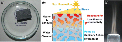 Figure 7. Steam generation by a thin porous graphene sheet. (a) An optical image of the piece of porous N-doped graphene sheet. (b) A schematic description of the heat localization system, which converts sunlight into steam using a piece of porous N-doped graphene as the steam generator. Thin porous graphene plays a versatile role in harvesting solar illumination as thermal energy. (c) An optical image of the steam generation process, in which the scrap from panel (b) is placed under the concentrated solar illumination. (Adapted from Ref. [Citation98]. © Wiley-VCH Verlag GmbH & Co. KGaA, Weinheim).