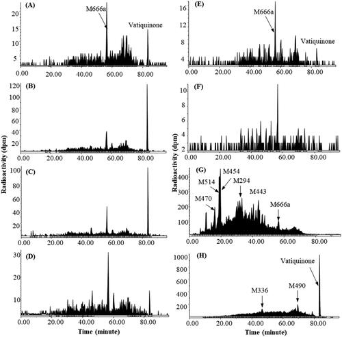 Figure 5. Representative HPLC radio-chromatograms of 2 h (A), 4 h (B), 6 h (C), 8 h (D), 24 h (E), and 48 h (F) plasma, 0–24 h urine (G), and 0–72 h faeces (H) from human subjects following a single 400 mg oral dose of 14C-vatiquinone.