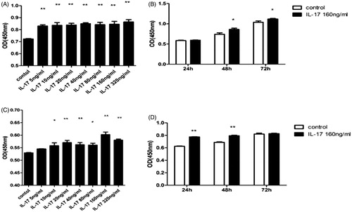 Figure 2. Effect of IL-17 on IgA1 production and underglycosylation in DAKIKI cells. (A) IL-17 at a concentration of 5∼320 ng/mL dose-dependently stimulated IgA1 production in DAKIKI cells. (B) IL-17 at a concentration range of 5∼320 ng/mL dose-dependently stimulated IgA1 underglycosylation in DAKIKI cells. IL-17 (320 ng/mL) had a similar effect, although the IgA1 underglycosylation was lower than that stimulated with 160 ng/mL IL-17. (C) IL-17 (160 ng/mL) time-dependently stimulated IgA1 production in DAKIKI cells. (D) IL-17 (160 ng/mL) time-dependently stimulated IgA1 underglycosylation in DAKIKI cells. *p < .05, compared with the control; **p < .01, compared with the control.