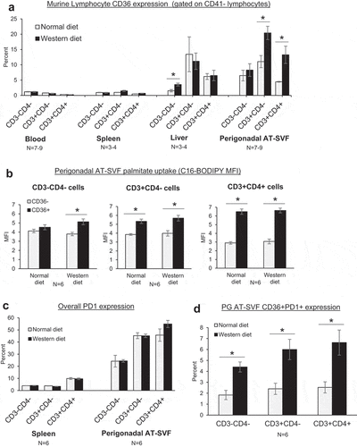 Figure 5. CD36 expression in adipose tissue T cells during high-fat diet in mice. (a) C57BL/6J mice were fed standard chow diet (Harlan-Teklad 2920X) or 21% milk fat/34% sucrose Breslow Western-type diet (TestDiet 5TFH) for fourteen weeks. Mice were sacrificed and single cells prepared from blood, spleen, liver, and perigonadal (PG) AT-SVF cells. Cells were then examined for CD36 expression on CD3-CD4-, CD3+CD4-, and CD3+CD4+ lymphocytes (gated on live CD41- lymphocytes) by flow cytometry. Shown are mean±sem CD36 expression (*p < 0.05). (b) Fatty acid uptake by adipose tissue CD36+ lymphocytes. PG AT-SVF cells were incubated with a fluorescent palmitate analog (C16-BODIPY), washed, and examined for C16-BODIPY uptake by CD36- and CD36+ cells (gated on CD3-CD4-, CD3+CD4-, or CD3+CD4+ lymphocytes). Shown are mean±sem C16-BODIPY mean fluorescence intensities (*p < 0.05). (c–d) Upregulation of CD36+PD-1+ lymphocytes in adipose tissue during western diet. Expression of CD36 and PD-1 by CD3-CD4-, CD3+CD4-, and CD3+CD4+ lymphocytes of spleen and PG AT-SVF cells were examined by flow cytometry. Shown are mean±sem overall PD-1 expression by spleen and PG AT-SVF lymphocytes (c), and mean±sem CD36+PD-1+ double-positive lymphocytes in PG AT-SVF cells (d, *p < 0.05).